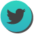 Twitter Icon